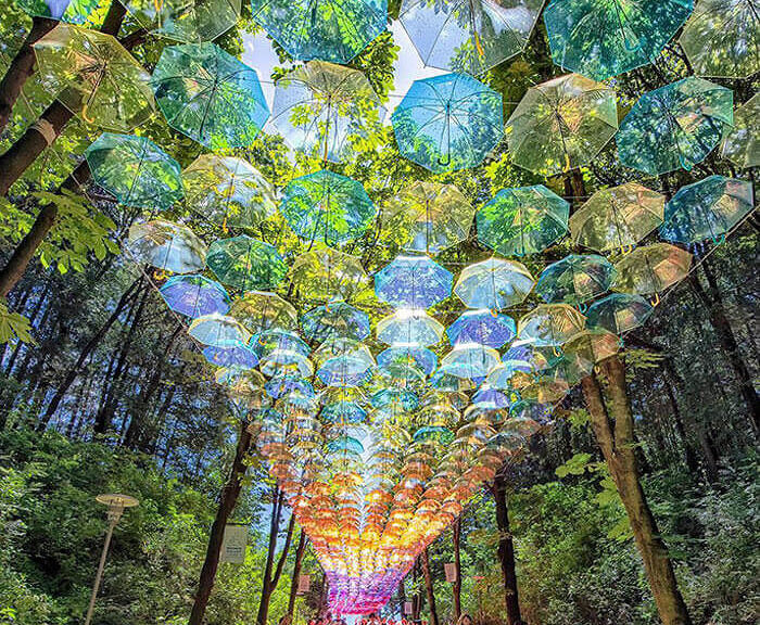 An Umbrella Walkway