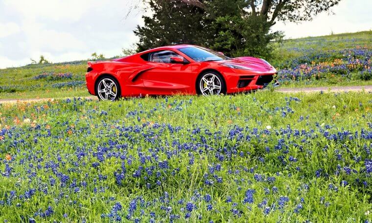 Bluebonnet Trail