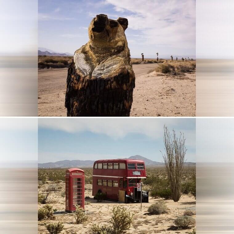 Strange Desert Discoveries