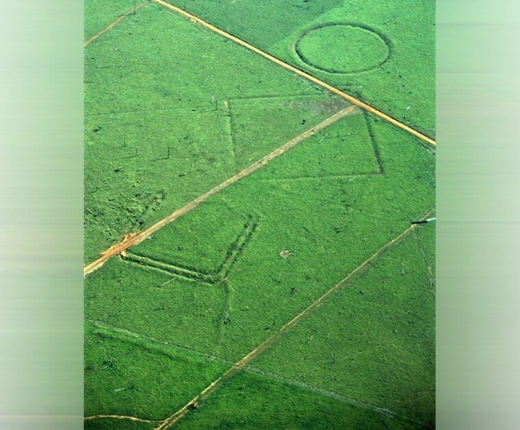Earthen Rings in the Amazon