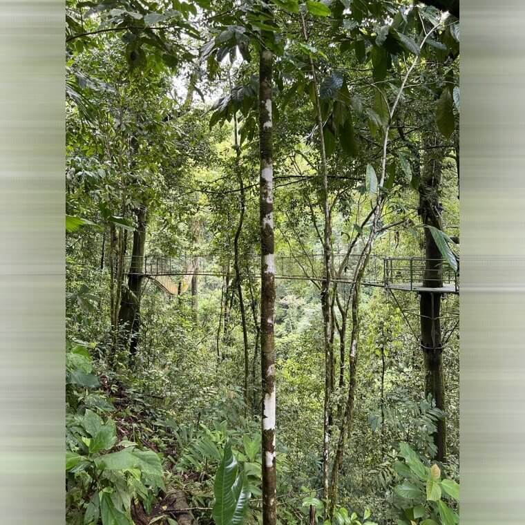 Quepos Bridge, Costa Rica - Known as the "bridge of Death"