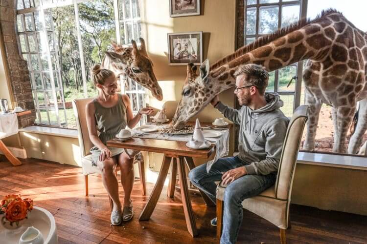 Giraffe Manor, Kenya