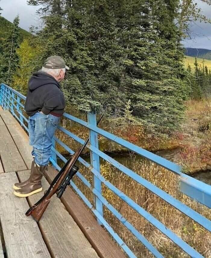 What Is Going on in Alaska?