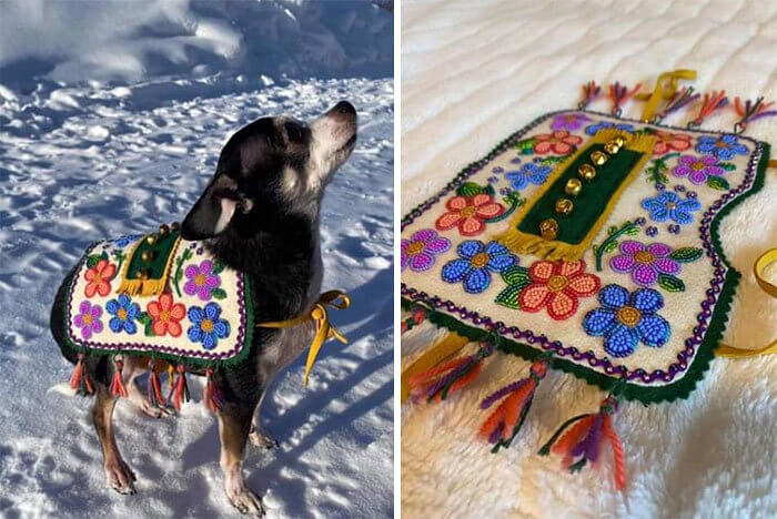 Such a Festive Dog Outfit