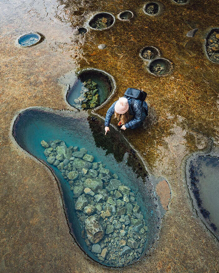 Tidal Pools at Botanical Beach