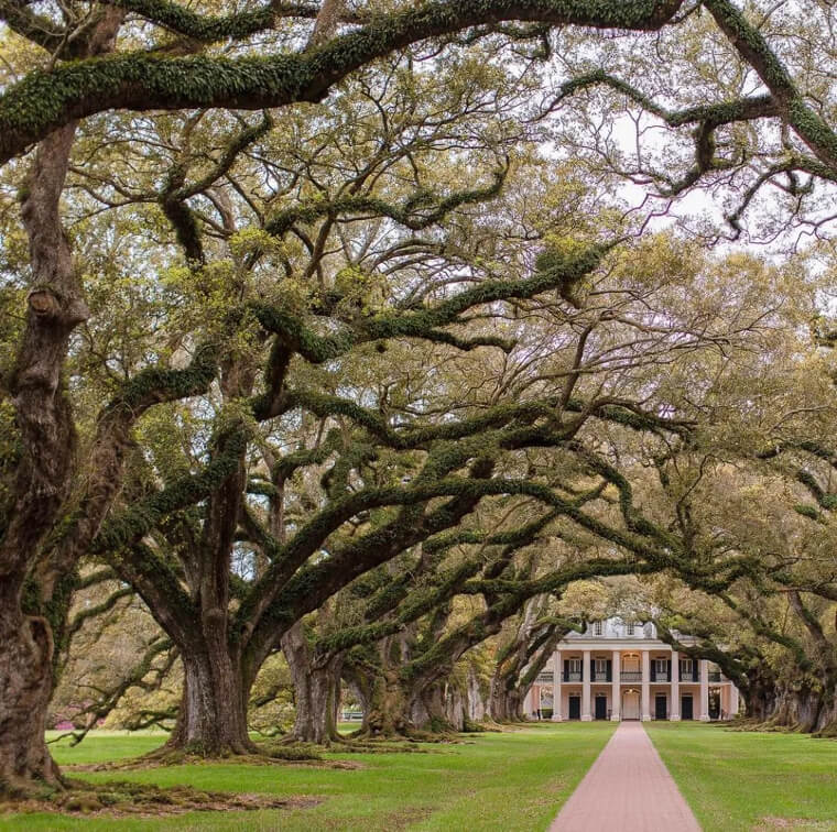 Great River Road Must See: Oak Alley