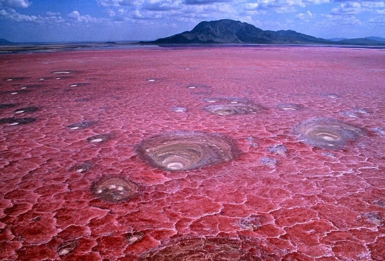 ​The Lake Natron In Tanzania