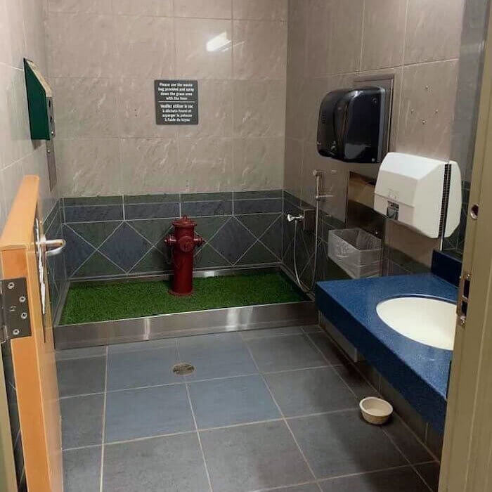 Dogs Get Their Own Bathrooms