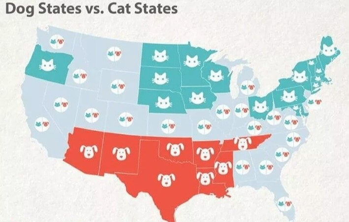 Dogs Versus Cats