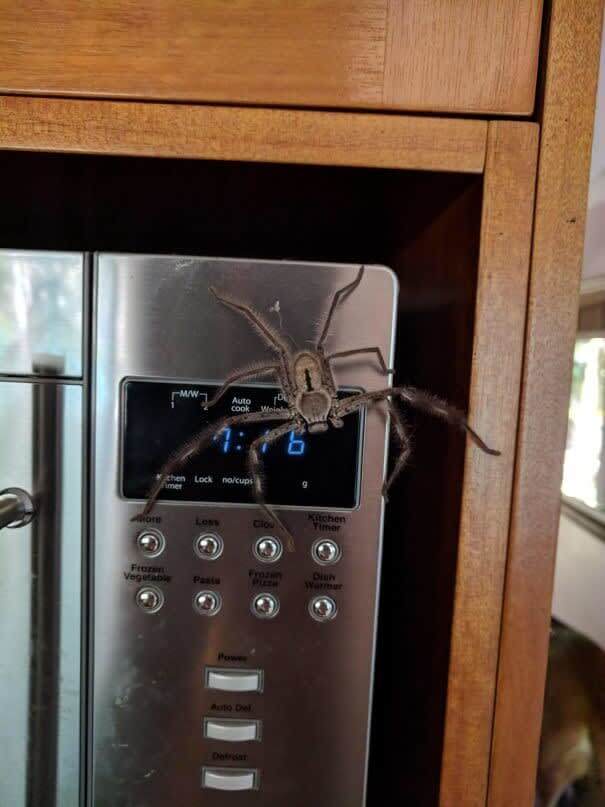 We Guess They Aren't Eating Today