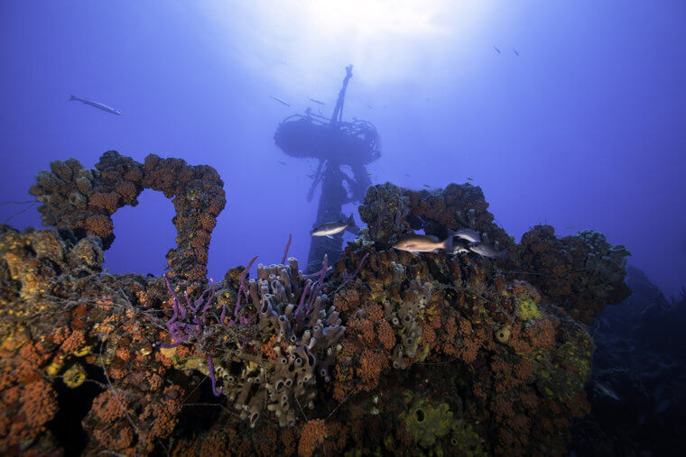 Overseas Highway Must See: John Pennekamp Coral Reef State Park