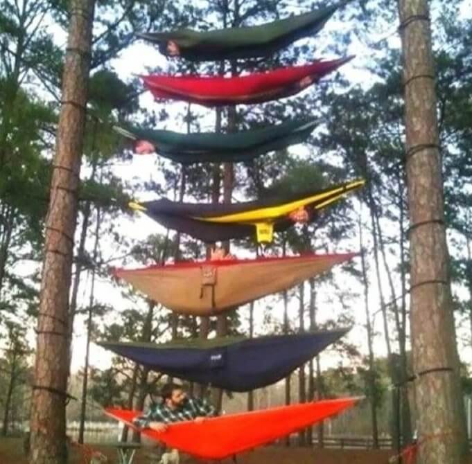 The Perfect Hammock Tree
