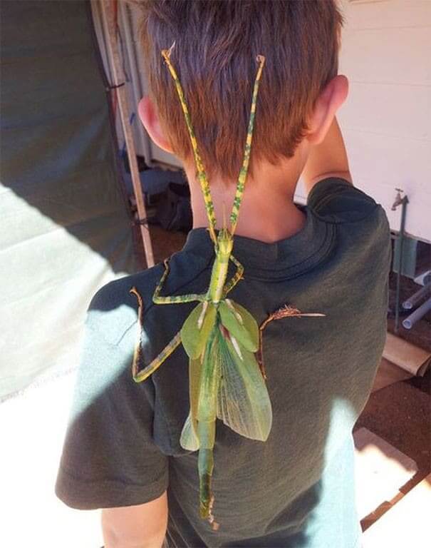 You Have Something On Your Back.