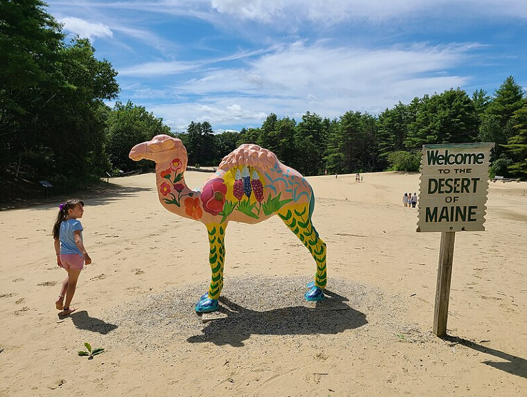 The Desert of Maine