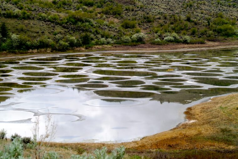 ​The Stunning Spotted Lake In Osoyoos