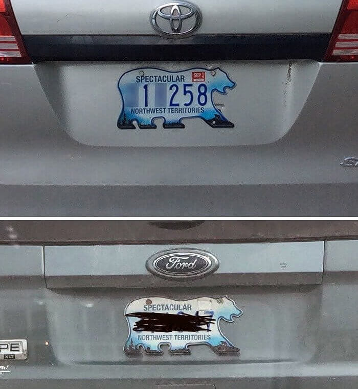 Polar Bear Shaped License Plates
