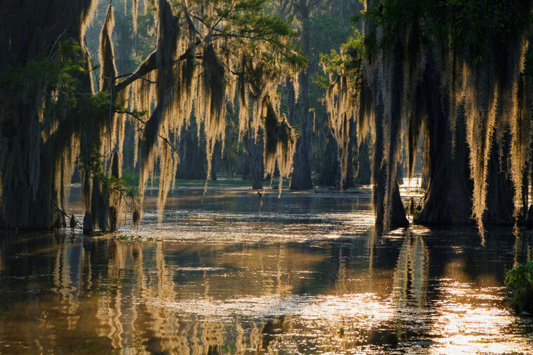 14. Louisiana