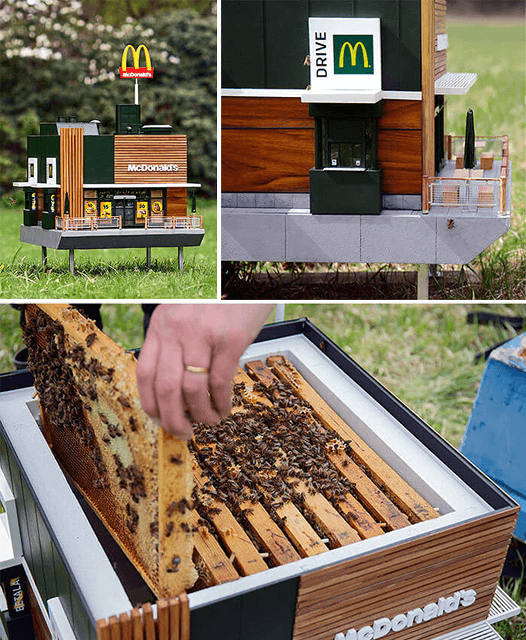 A McDonald's for Bees