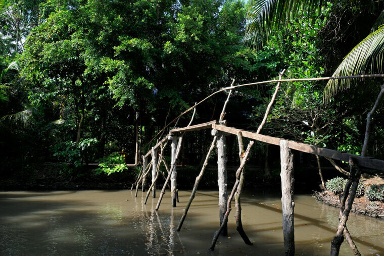 Monkey Bridges, Vietnam - Handmade From a Single Bamboo Log