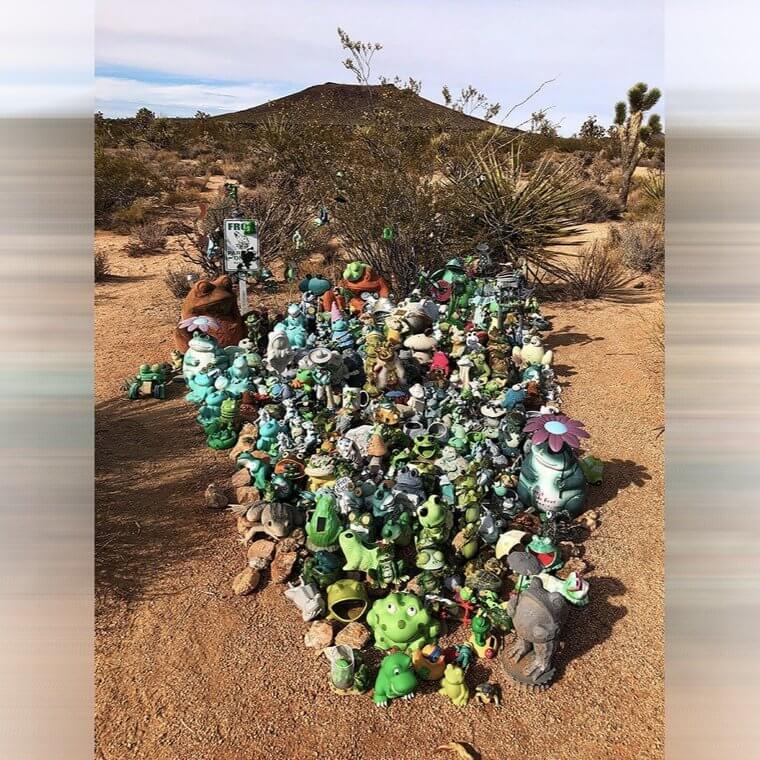 Frogs in the Mojave Desert