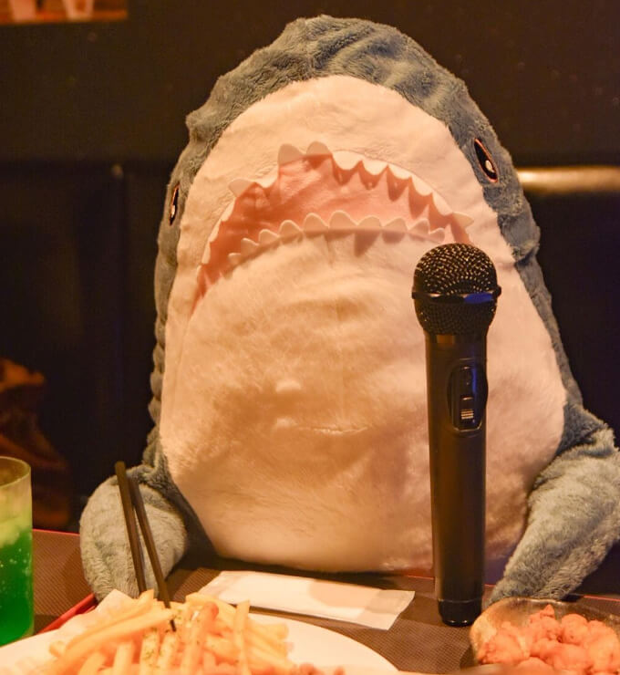 Karaoke Etiquette Is Important In Japan