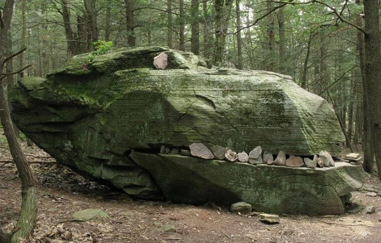 A Dragon’s Head