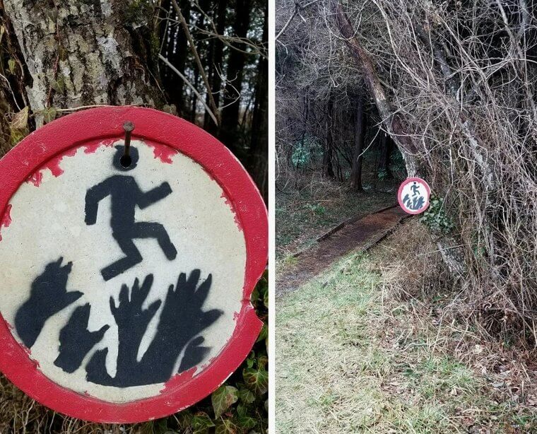 Scary Signs in the Forest