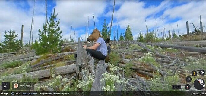 A Horseman in a Destroyed Forest
