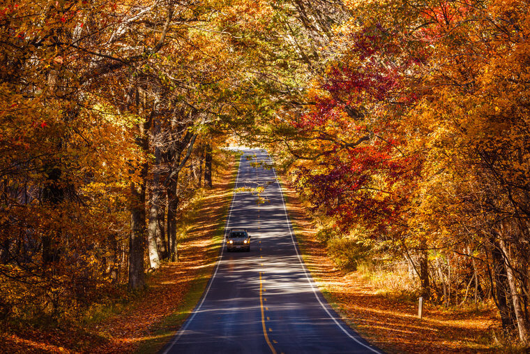 Skyline Drive
