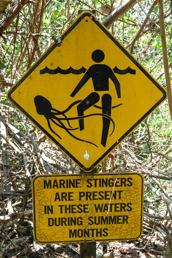 Fraser Island Beach - Fraser Island, Australia