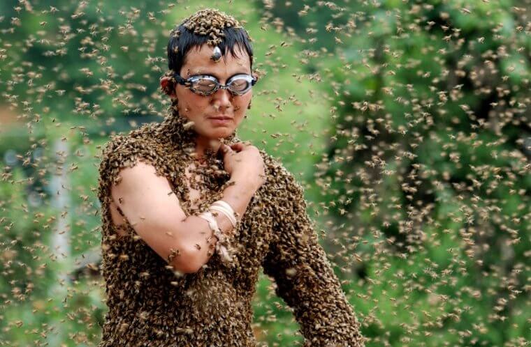 Bee Bearding in China