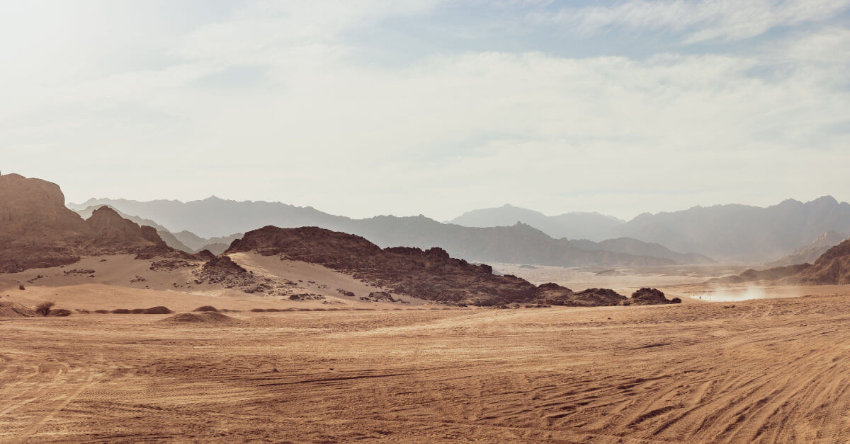 Interesting Discoveries Found in the Desert