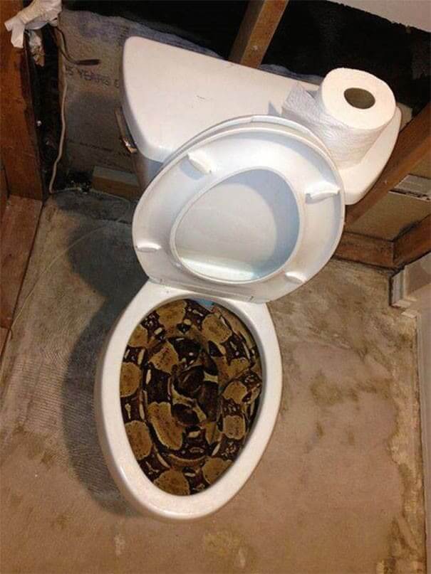 Might As Well Move