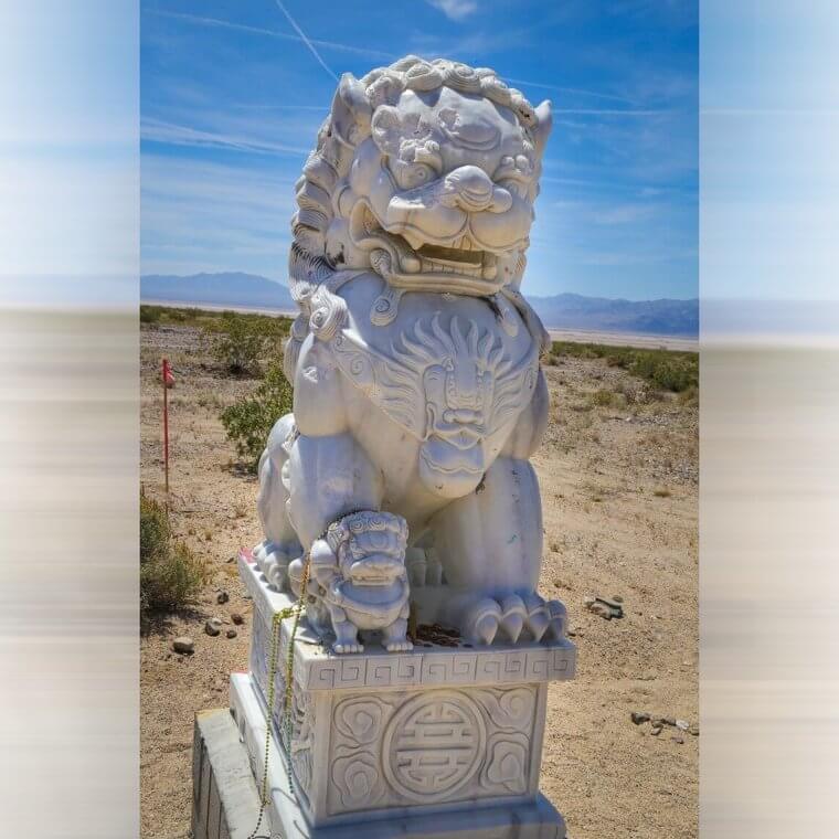 Chinese Lions in the Desert