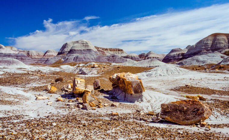 Route 66 Must See: Petrified Forest National Park