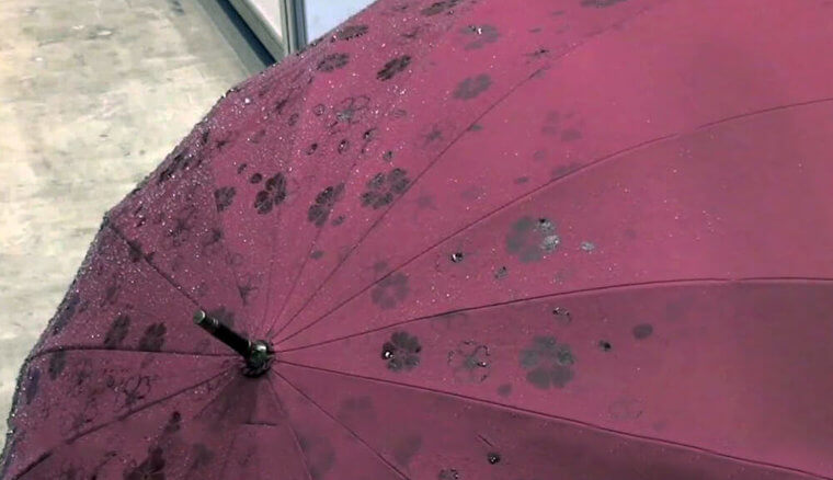 Umbrellas That Change Color When Wet or Dry