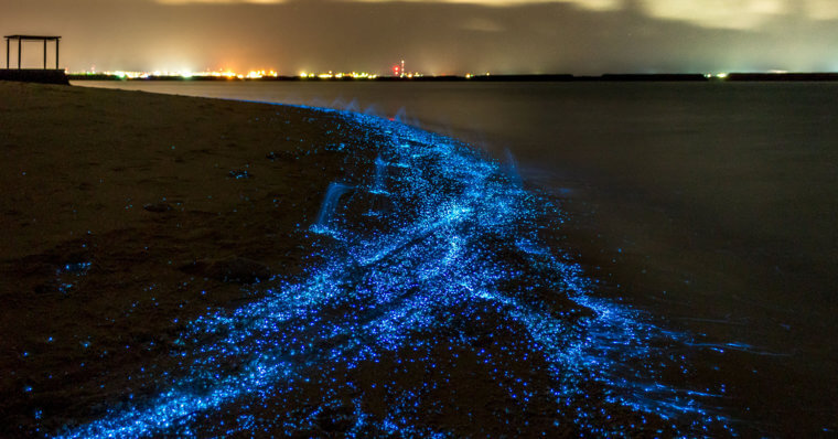 ​The Bioluminescent Waves From The Maldives