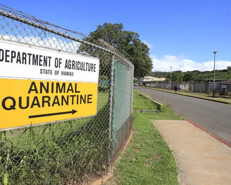 Hawaii Is a Rabies-Free State