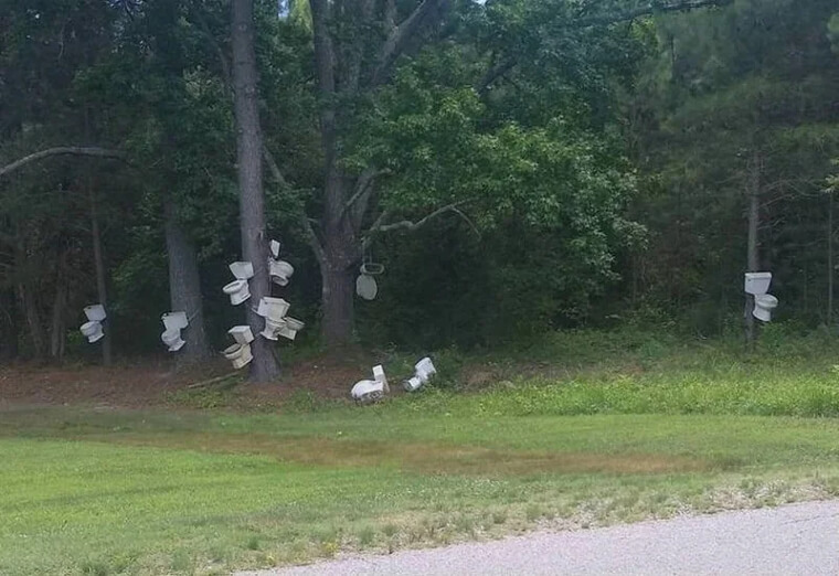 The Hanging Toilets