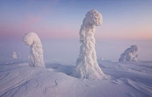 Sentinels of the Arctic, Finland