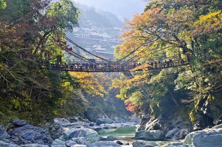 Iya Kazurabashi Bridge, Japan - 12th Century Wooden Planks