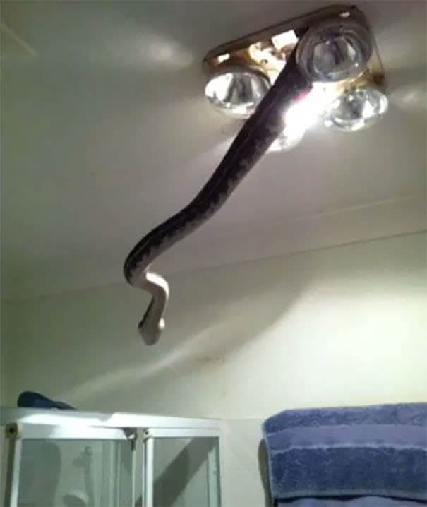 Even The Ceiling Lamps Are Out To Get You