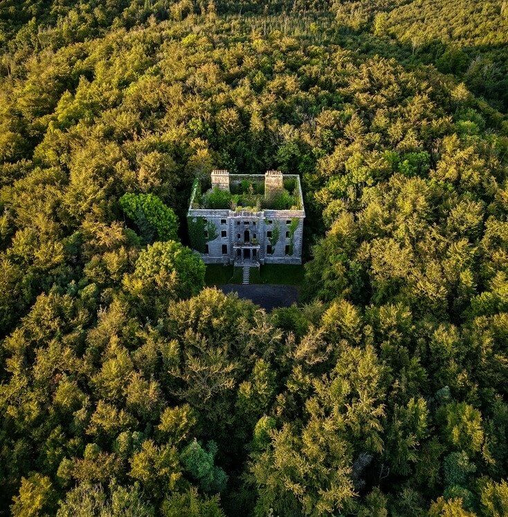 The Historic Moore Hall Taken Over by Nature