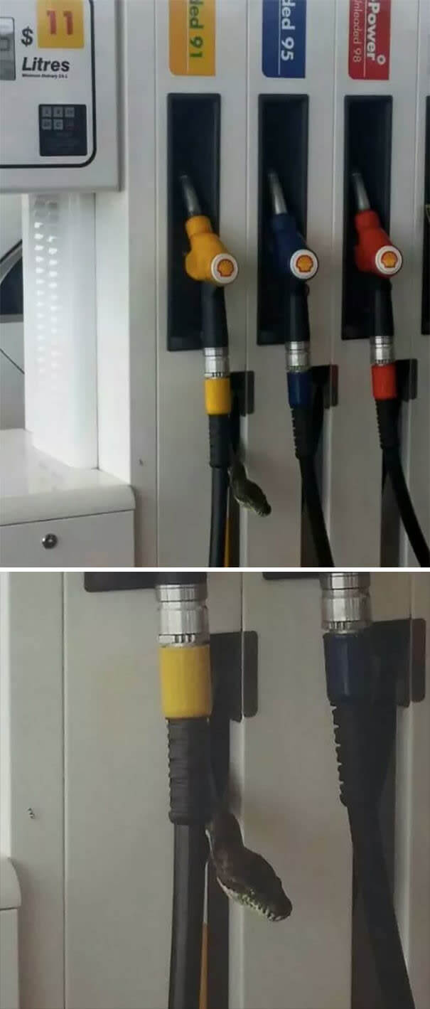 Guess You Don't Need Gas Anymore