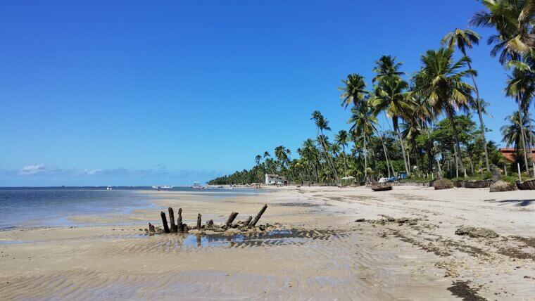 Praia Dos Carneiros – Brazil