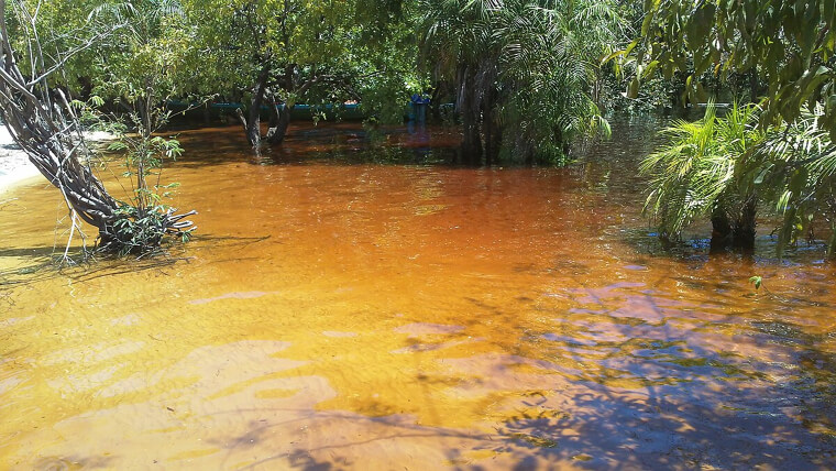 Rio Negro Beach - The Amazon, Brazil