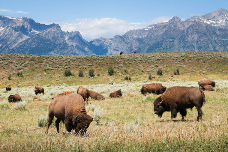 26. Wyoming