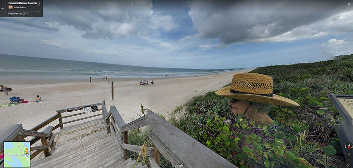 A New Type of Plant Is Growing