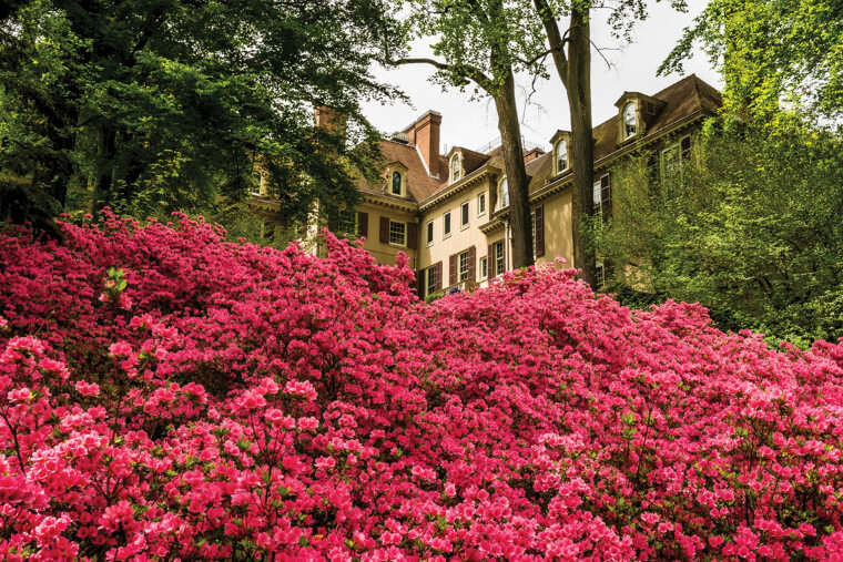 Brandywine Valley Must See: Winterthur Museum