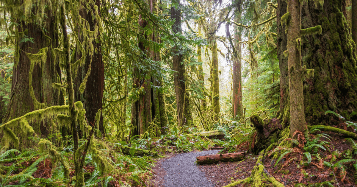 Camping and Hiking Spots Across the US That Travelers Recommend Staying Away From